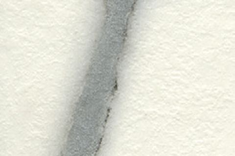 Calacatta Grigio