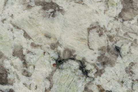 Alaska White