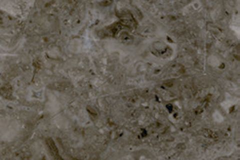 Grigio Billiemi